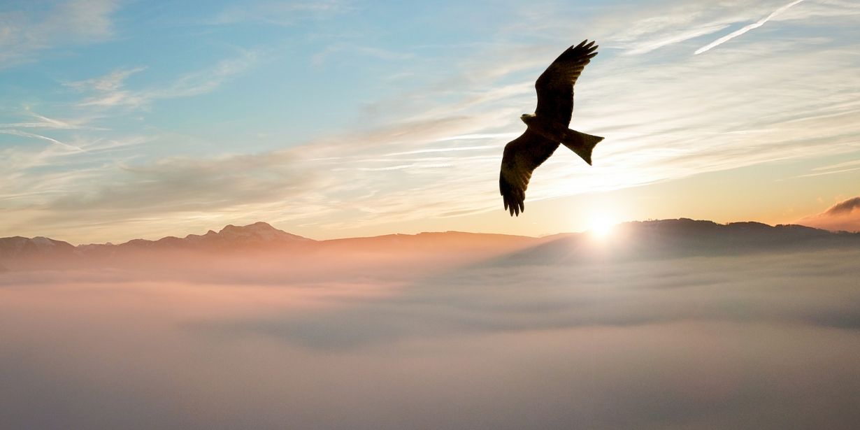 Flyin´ high – Drogen und Gehirn: Symposium der Deutschen Hirnstiftung